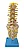 Coluna Vertebral Lombar - Imagem 2