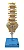 Coluna Vertebral Lombar - Imagem 1
