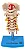 Coluna Vertebral Cervical - Imagem 1
