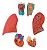 Sistema Respiratório e Cardiovascular, em 7 Partes - Imagem 3