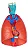Sistema Respiratório e Cardiovascular, em 7 Partes - Imagem 2