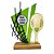 Kit de Troféus Beach Tennis — Acrílico Dourado Personalizado com Sua Logo - Imagem 8