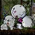 Prato Fundo Bio Encanto - Imagem 4