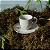 Conjunto 6 Xícaras de Café com 6 Pires Orgânico Amana 120 ml - Imagem 4