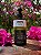 Condicionador amabee - Revitalizante com Mel de Abelha 250ml (Amabee Conditioner – Revitalizing with Bee Honey 250ml) - Imagem 4
