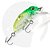 Isca Strike Pro Beetle Buster 40 087G - Imagem 1