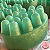 Sabonete Massageador Herbal | Estimula a circulação e refresca - Imagem 3