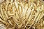 Ginseng - Imagem 2