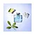Azzaro Chrome Eau de Toilette - Imagem 5