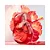 Bvlgari Omnia Coral Eau de Toilette - Imagem 3