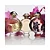Paco Rabanne Olympéa Flora Eau de Parfum - Imagem 5