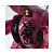 Paco Rabanne Olympéa Flora Eau de Parfum - Imagem 6