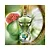 Jean Paul Gaultier Le Beau Paradise Garden Eau de Parfum - Imagem 5