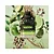 Valentino Born In Roma Green Stravaganza Uomo Eau de Toilette - Imagem 3