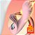 Vibrador de Ponto G e Clitóris com 10 Modos de Vibração, Aquecimento e Visor LCD - Recarregável - PG112 MAGENTA - Imagem 4