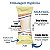 Embalagem Higiênica Geladinho 7x21cm Sacole Dindim Chup Chup Juju Picole Creme - Imagem 4
