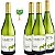 Giaretta Chardonnay - Imagem 4