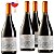 Castillo de Andrade Reserva Especial Pinot Noir - Imagem 4