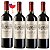 Castillo de Andrade Varietal Syrah - Imagem 3