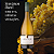 Aracuri Sauvignon Blanc 2023 - Imagem 5