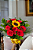 Arranjo Buquê de Rosas Com Girassol - Imagem 2