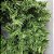 GUIRLANDA VERDE PREMIUM 60CM 110 GALHOS - Imagem 2
