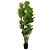 ARVORE FICUS LYRATA TOQUE REAL PREMIUM 1.90M - Imagem 3