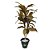 ARVORE CORDYLINE X76 120CM (VINHO) - Imagem 3