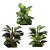 ARVORE FOLHAGEM CALATHEA 1M - Imagem 4