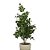 ARVORE FICUS SILICONE 1.60M - Imagem 2