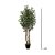 ARVORE OLIVEIRA PREMIUM 1.2 M - Imagem 1