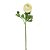 HASTE RANUNCULUS COM BOTAO PREMIUM 55CM - Imagem 1