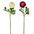 HASTE RANUNCULUS COM BOTAO PREMIUM 55CM - Imagem 2