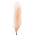 HASTE PLUMA (PAMPAS) PREMIUM 1M - Imagem 1
