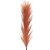 HASTE PLUMA (PAMPAS) PREMIUM 1M - Imagem 2