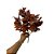 BUQUE FOLHA MAPLE CANADENSE 42CM - Imagem 4
