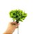 PICK FOLHAS FICUS 25CM - Imagem 1
