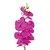 GALHO DE ORQUIDEA SILIC TOQUE REAL 90CM - Imagem 2