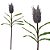 HASTE DIPSACUS 68CM ROXO OU VERDE - Imagem 1