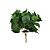 BUQUE DE FOLHAGEM JIBOIA PREMIUM 43CM - Imagem 2