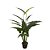 ARVORE TARO ALOCASIA SARIAN 1.50M - Imagem 1