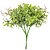 PICK DE MINI FICUS 21CM X6 - Imagem 1
