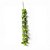 PENDENTE FOLHAGEM CAIDA DE EUCALIPTO 60CM VERDE - Imagem 1