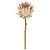 HASTE PROTEA OUTONADA PREMIUM X2 (SORTIDO) 65CM OUTONAL - Imagem 2