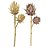 HASTE PROTEA CREME PREMIUM X2 (SORTIDO) 65CM CREME - Imagem 2