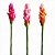 HASTE DE ALPINO TROPICAL TOQUE REAL PINK - Imagem 1