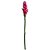 HASTE DE ALPINO TROPICAL TOQUE REAL PINK - Imagem 2