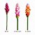 HASTE DE ALPINO TROPICAL TOQUE REAL PINK - Imagem 3
