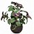 KOKEDAMA HORTELA 2 CORES 20CM - Imagem 3