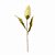 HASTE DE PROTEA OUTONAL 60CM - Imagem 1